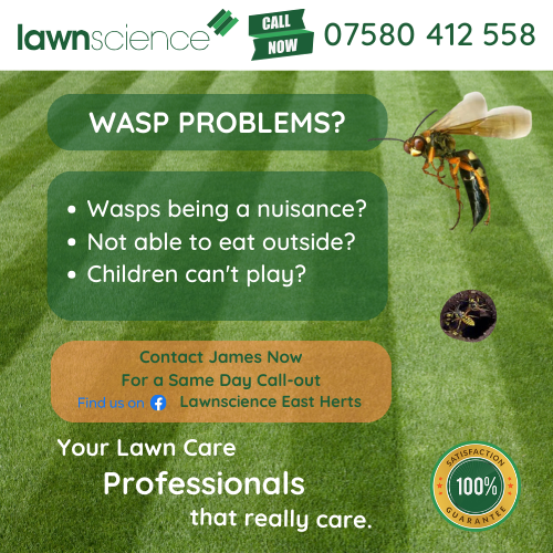 James @ Lawn Science - 12 Page Ad (2nd Draft)(2)