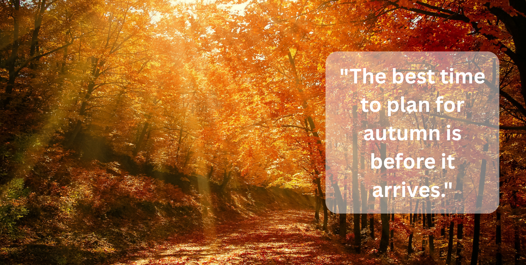 Sunlit autumn woodland path with the quote 'The best time to plan for autumn is before it arrives'