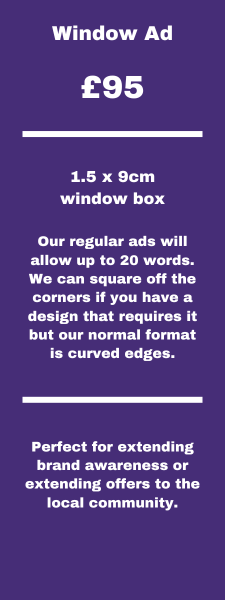 Window Ad - Website - 225x600px